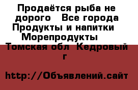 Продаётся рыба не дорого - Все города Продукты и напитки » Морепродукты   . Томская обл.,Кедровый г.